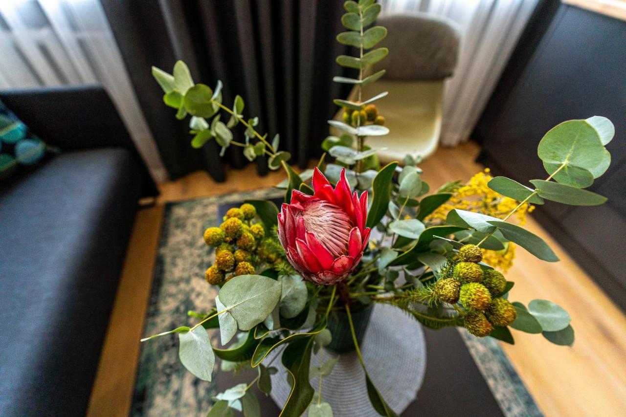 Beautiful Apartment In The Heart Of Kaunas Dış mekan fotoğraf